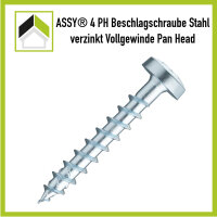 ASSY Beschlagschraube Panhead Vollgewinde 3 x 10 / 100 St.