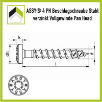 ASSY Beschlagschraube Panhead Vollgewinde 3 x 10 / 100 St.