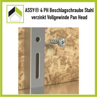 ASSY Beschlagschraube Panhead Vollgewinde 3 x 10 / 100 St.