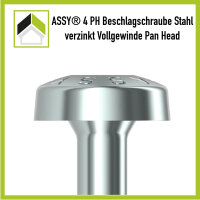 ASSY Beschlagschraube Panhead Vollgewinde 3 x 10 / 100 St.