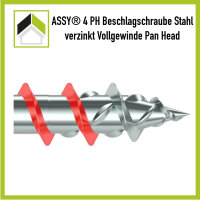 ASSY Beschlagschraube Panhead Vollgewinde 3 x 10 / 100 St.