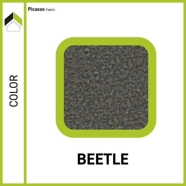 Beetle